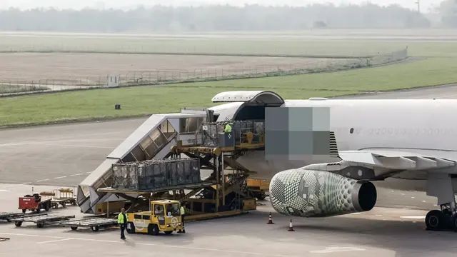 Tiertransporte ab dem Flughafen Linz sind in der Kritik. | Foto: Die Grünen OÖ