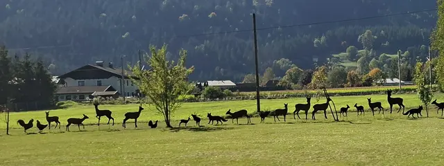 Foto: Kurt Nöhmer