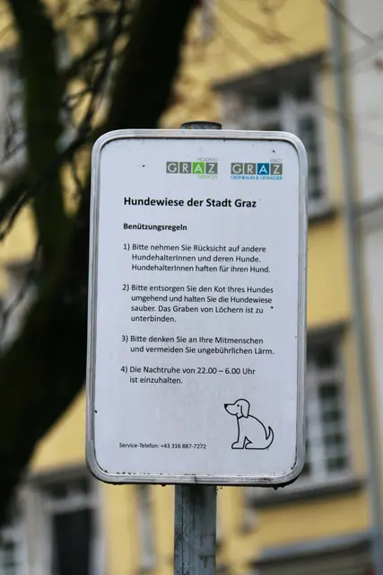 In zwölf von 17 Grazer Stadtbezirken gibt es bereits eine Hundewiese, die FPÖ pocht auf einen Ausbau.  | Foto: Marie Ott