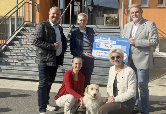 Der Vorstand des NÖAAB-Bezirks Horn stellte 560 Euro zur Verfügung. | Foto: NÖAAB Bezirk Horn