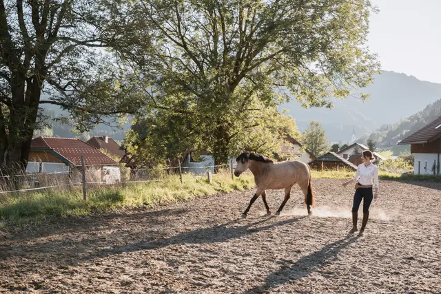 Sie trainiert Pferde und auch Menschen.