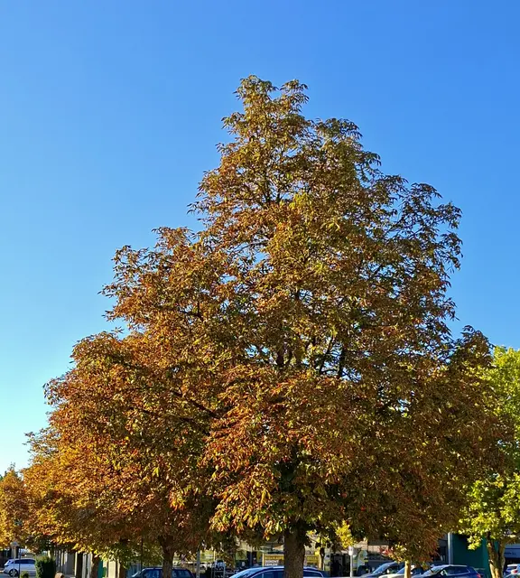 Foto: Kurt Nöhmer