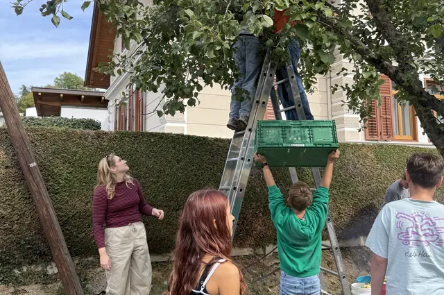 Viele fleißige Hände waren am Werk | Foto: Langmann