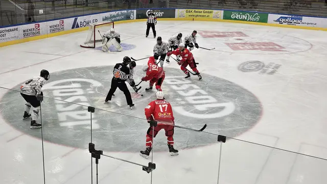Die Kängurus der KSV empfangen heute Abend im ersten Heimspiel der Saison ATSE Graz (Archivbild). | Foto: KSV Kängurus