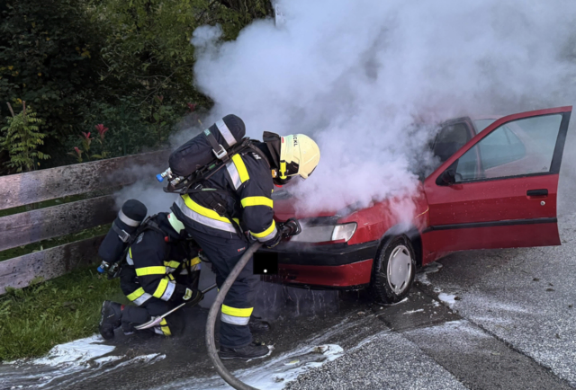 Während der Fahrt habe der Pkw plötzlich stark zu rauchen begonnen. | Foto: Freiwillige Feuerwehr Brückl