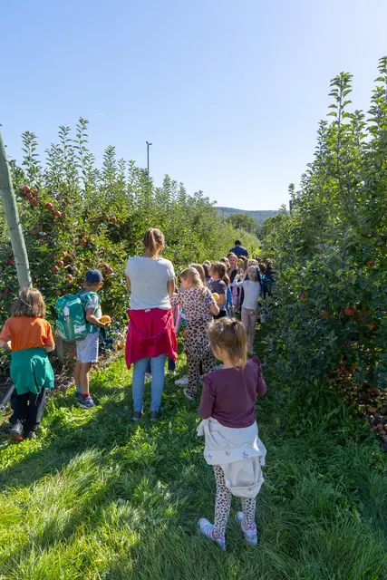 Foto: Weinwurm-Fotografie