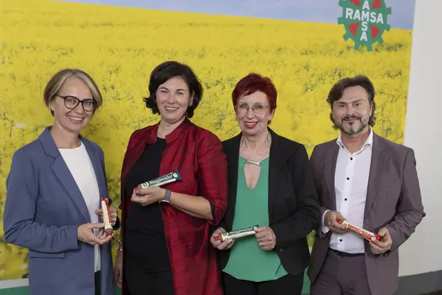 Schüchner, Segel, Puta und Lochner (v.l.) feierten gemeinsam das Firmenjubiläum. | Foto: Paul Kubalek