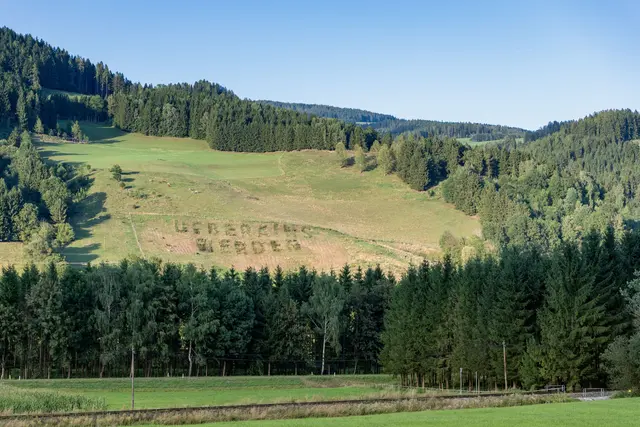 Der Schriftzug "UEBERAINS WERDEN" auf einer Weide in Bad St. Leonhard soll an den Hexenprozess erinnern. | Foto: Tom Biela