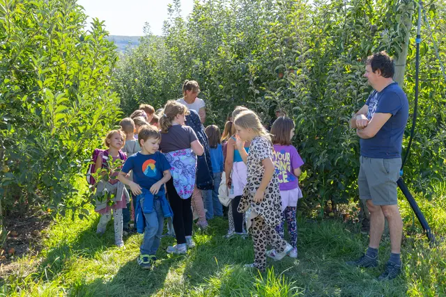 Foto: Weinwurm-Fotografie