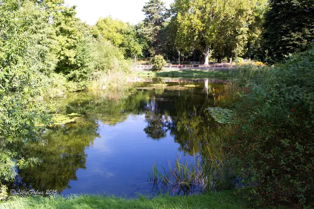Der Türkenschanzpark kann zum schönsten Ort in Österreich gewählt werden.  | Foto: Christel Berger