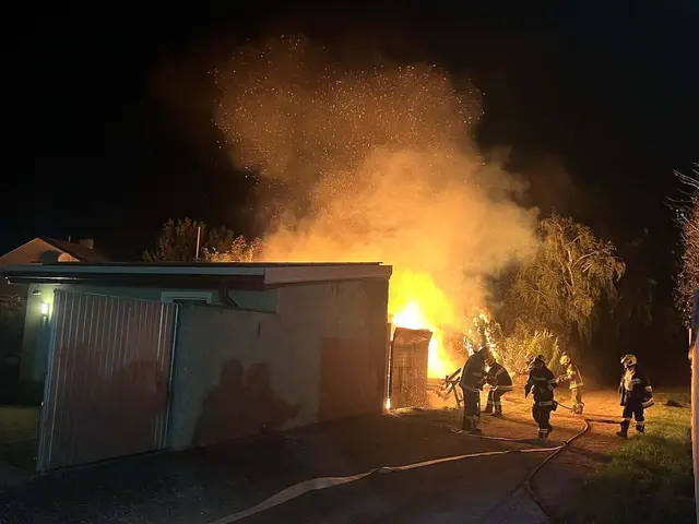 Drei Feuerwehren standen in Pamhagen im Einsatz. | Foto: FF Pamhagen
