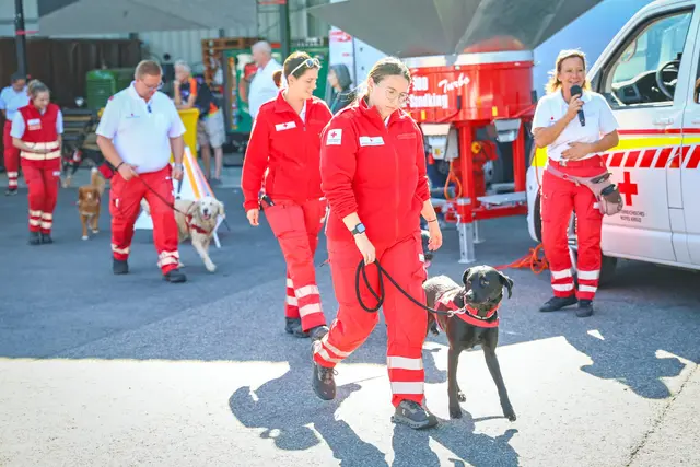 Die Hundestaffel des Roten Kreuzes war beim Zivilschutztag in Schwadorf zu Gast. | Foto: Rene Wallentin
