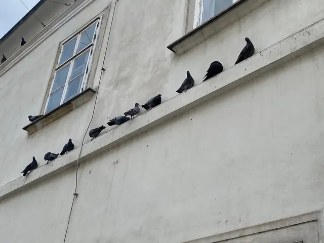 Foto: zVg