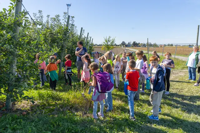 Foto: Weinwurm-Fotografie
