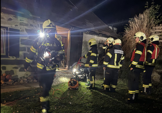 Zahlreiche Einsatzkräfte waren vor Ort. | Foto: FF Ulrichsberg