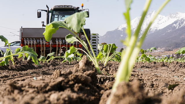 Tirols Landwirte müssen nicht nur auf den Feldern Entscheidungen treffen. Im Feber 2027 finden die Landwirtschaftskammerwahlen statt. | Foto: LK Tirol