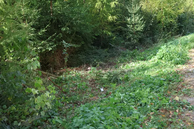 Foto: laumat/Matthias Lauber