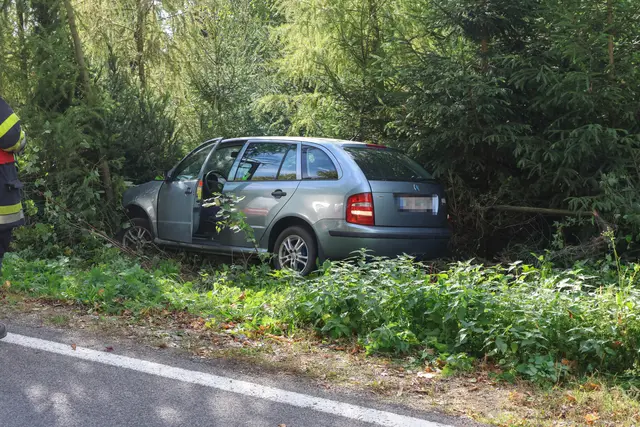 Das Unfallauto kam in einem Jungwald zum Stillstand. | Foto: laumat/Matthias Lauber