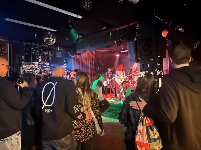 Das Publikum füllte die Halle im Triebwerk und feierte die energiegeladenen Auftritte der drei Bands | Foto: Rebecca Cermak