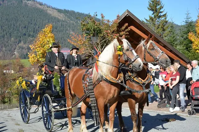 Edi Neuner, Ehrenobmann des Norikerzuchtvereins, verstarb am 4. Oktober 2026 im Alter von 80 Jahren. | Foto: Norikerzuchtverein