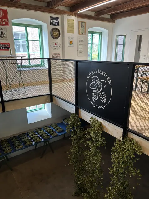 In der Hopfendarre in Neufelden wurde investiert. Eine Galerie wurde eingebaut.  | Foto: Karin Bayr