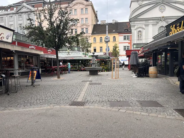 Am Rochusmarkt gab es einst eine keltische Münzwerkstätte, die auch im Buch beschrieben wird. | Foto: Kriechbaum/MeinBezirk