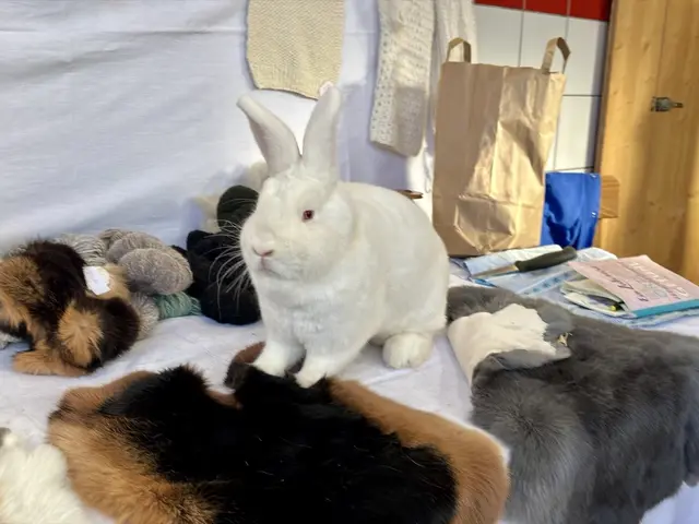 Foto: MeinBezirk/Angelika Brunner