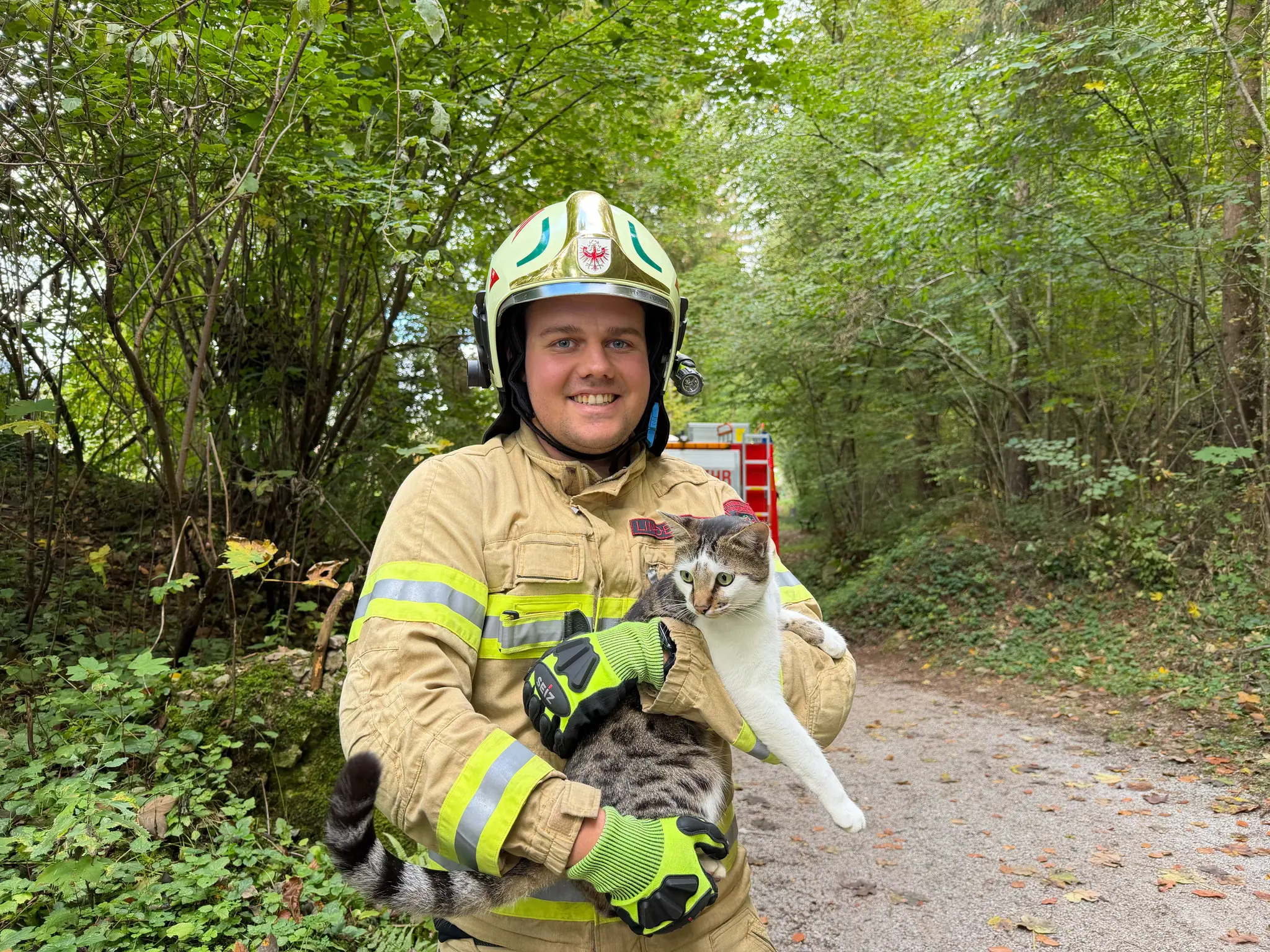 Cat rescued: Animal rescue in Kufstein - | Simba needed help - | Kufstein