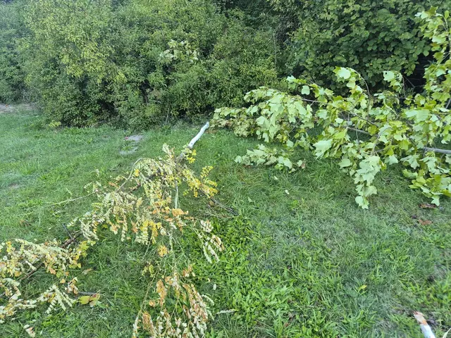 Foto: Stadtgemeinde Ried