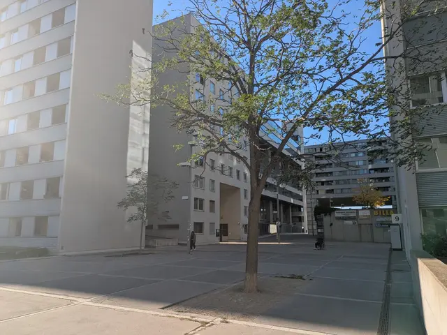 Nicht alle Teile der Donau City sollen vom Lärm betroffen sein. | Foto: zVg