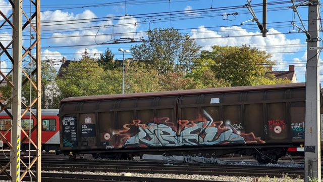 Entgleiste Güterwagen sorgen für massive Einschränkungen auf der Südstrecke. Wann die Züge wieder regulär fahren können, ist noch unklar. MeinBezirk hat alle relevanten Informationen im Überblick. | Foto: DOKU-NÖ