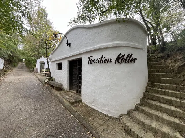Hinter den Kellergassen verbirgt sich eine Menge Tradition.  | Foto: Naturfreunde Purkersdorf