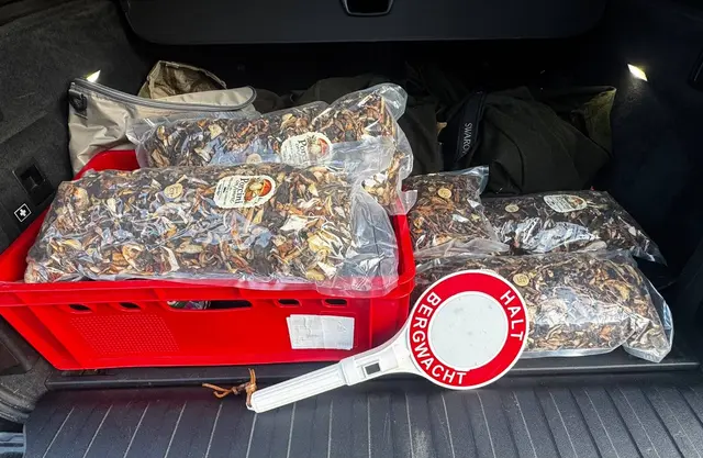 Vergangenen Freitag stoppte die Kärntner Bergwacht einen Italiener in Maria Saal mit mehreren Kilogramm getrockneten Steinpilzen im Gepäck. | Foto: Bergwacht