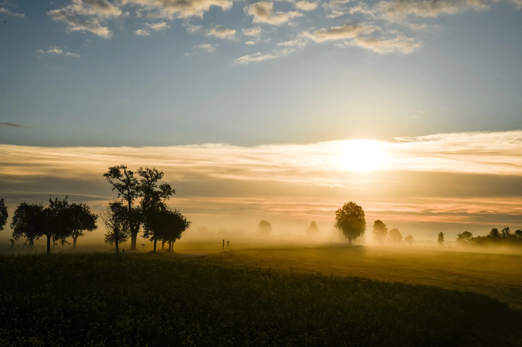 Reader photos from Ried/Riedmark: Mystical golden autumn morning - | Perg
