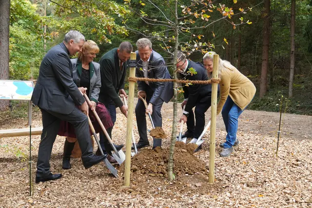 Foto: KLOSTERWALD