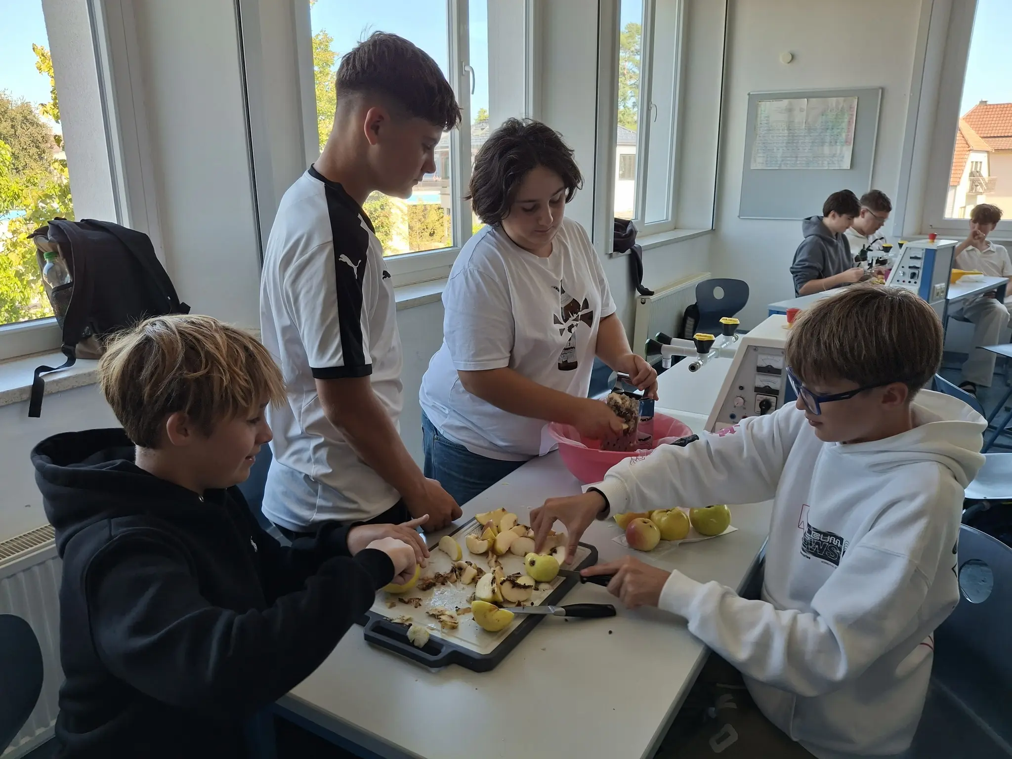 St. Valentin school project: From fruit to juice - | young researchers ...