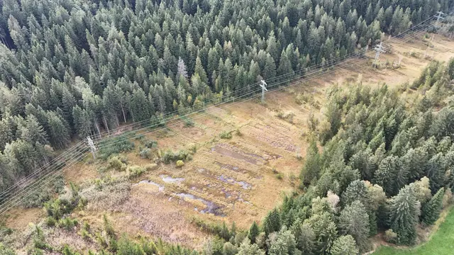 Luftaufnahme der Paradieswiese vor dem Start der Renaturierungsarbeiten | Foto: Land Tirol