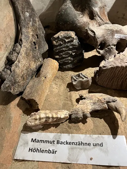 Foto: Naturfreunde Purkersdorf