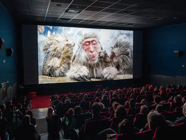 Das innsbruck nature film festival 2026 sorgte für volle Kinosäle. Im Bild das Metropol Kino Innsbruck. | Foto: © inff / Poscher