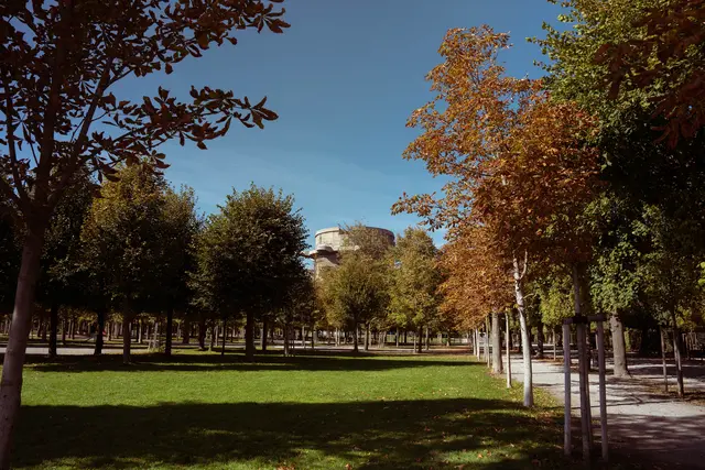 Am Mittwoch zeigt sich das Wetter in Wien herbstlich. | Foto: Sade Jerabek/MeinBezirk