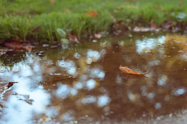 Das Wetter im Herbst in Wien. | Foto: Sade Jerabek/MeinBezirk
