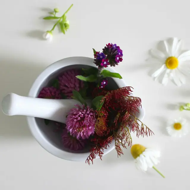 Wenn die Tage kühler werden, kann man Kräuterschätze für Küche und Geschenkkorb aus dem eigenen Garten zubreiten.
 | Foto: Helene Bernsteiner