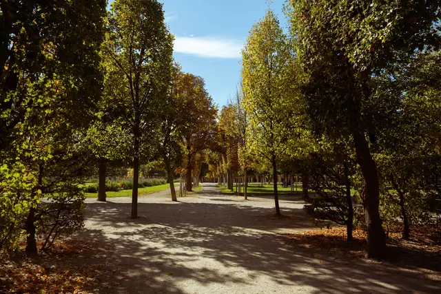 Das Wetter im Herbst in Wien. | Foto: Sade Jerabek/MeinBezirk