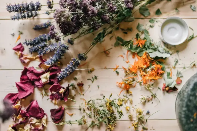 Wenn die Tage kühler werden, kann man Kräuterschätze für Küche und Geschenkkorb aus dem eigenen Garten zubreiten.
 | Foto: Yan Krukau/Pexels