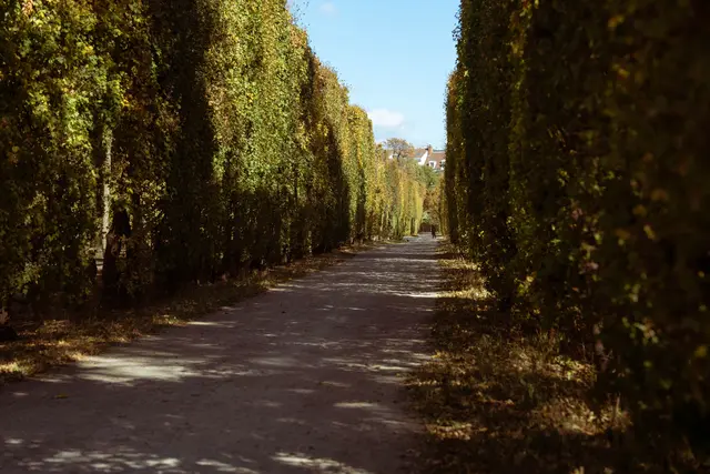 Das Wetter im Herbst in Wien. | Foto: Sade Jerabek/MeinBezirk