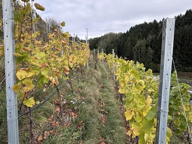 Foto: Steixner/Kendlbacher