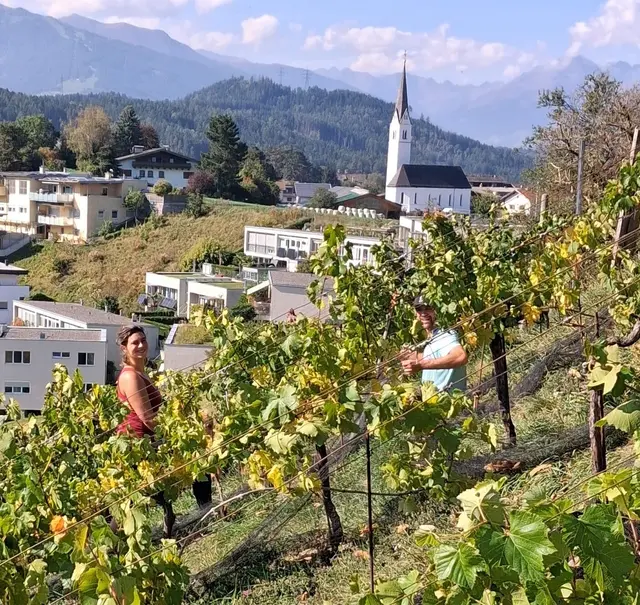 Bei der Weinlese packt immer die ganze Familie mit an.  | Foto: Steixner/Kendlbacher