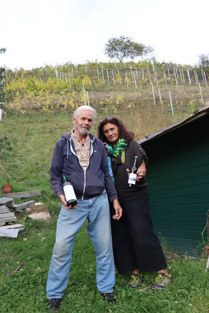 Andrä Steixner und seine Frau Hannelore bewirtschaften im sonnigen Pfarrtal in Aldrans rund 1.800 Quadratmeter Rebfläche. MeinBezirk hat mit den leidenschaftlichen Winzern gesprochen. | Foto: Kendlbacher