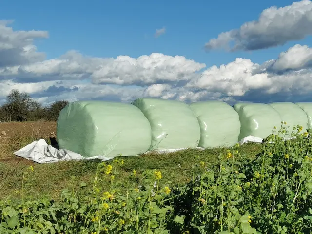 Seit Einführung der Aktion vor mehr als 30 Jahren verwerteten die Verantwortlichen bereits über fünf Millionen Kilogramm Folien. | Foto: BAV Grieskirchen