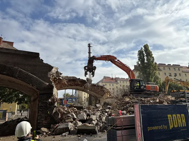 Rund zwei Tage dauert der Abriss eines einzelnen Viaduktbogen. Bis Ende Oktober sollen alle abgetragen sein.  | Foto: Luca Arztmann/MeinBezirk